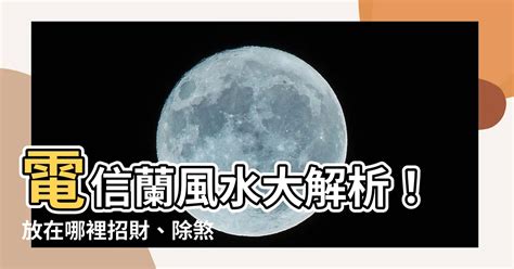 電信蘭風水|【電信蘭風水】電信蘭風水大解析！放在哪裡招財、除煞、保平。